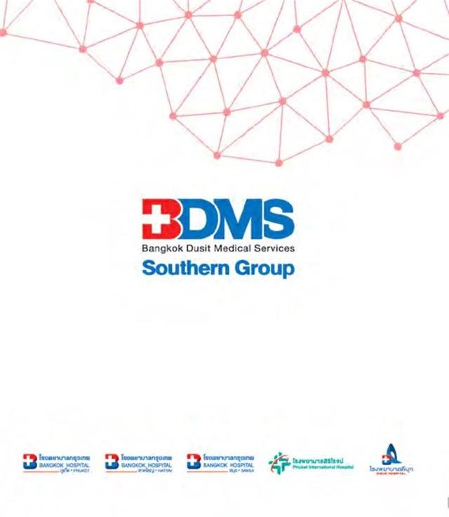 ผลงาน BDMS Southern Group · เอกสารองค์กร
